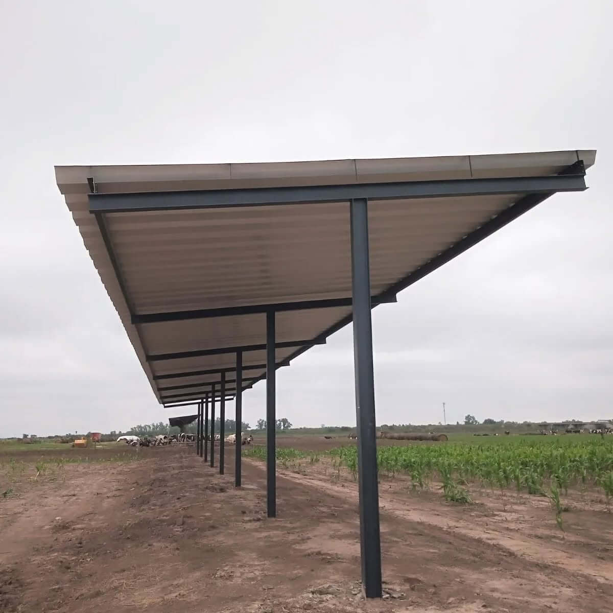 Sombra para Hacienda en Santa Fe